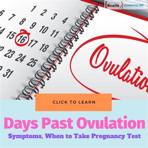 Days Past Ovulation Symptoms And When To Take A Pregnancy Test Faq