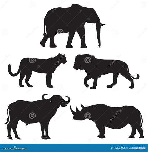Africa S Big Five Animals Stock Illustration Illustration Of Africa
