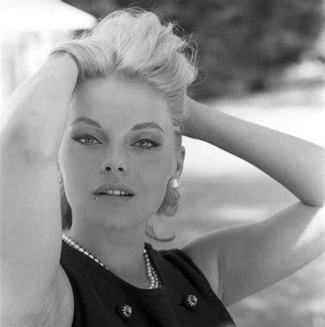 Virna Lisi Stelle Di Hollywood Attrice Classic Hollywood