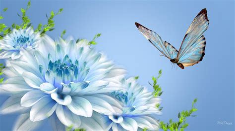 Beautiful Butterfly Wallpapers Wallpaper Cave