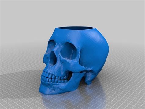 Skull Pot Stl File For 3d Printing Digital Download Etsy