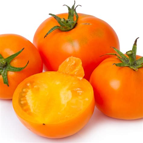 Tomate Orange Golden Delight Plant Bio Enracinés