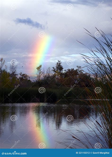 Rainbow Over The Lake Stock Photo Image Of Colors Lake 22110212