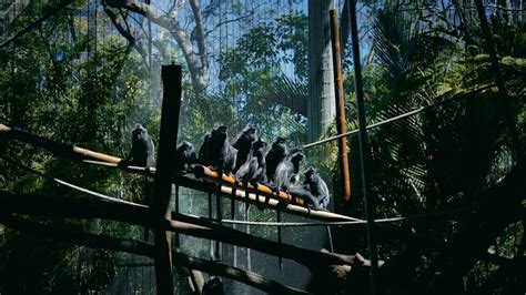 Interesting Facts About The Zoos