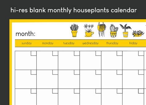 Blank Monthly Calendar Flowers Printable Monthly Etsy