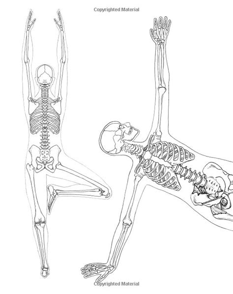 The Skeletal Skeleton Is Shown In Black And White As Well As An Image