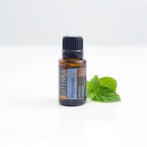 Peppermint Oil Uses And Benefits D Terra Essential Oils