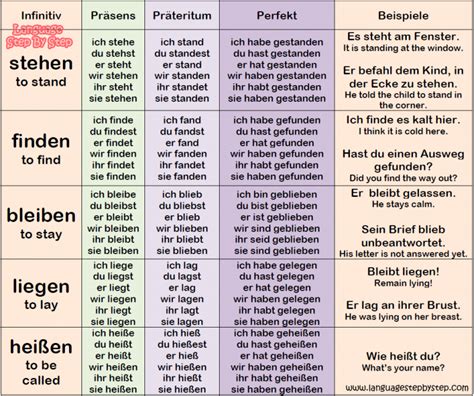 TOP 30 German Verbs Conjugation Examples Language Step By Step