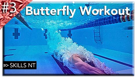 Butterfly Swimming Workout 3 Beginner Fly Technique Skills N Talents