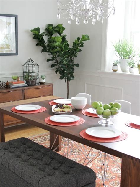 Say Goodbye To Artificial Plants And Put A Fig Tree In Every Room