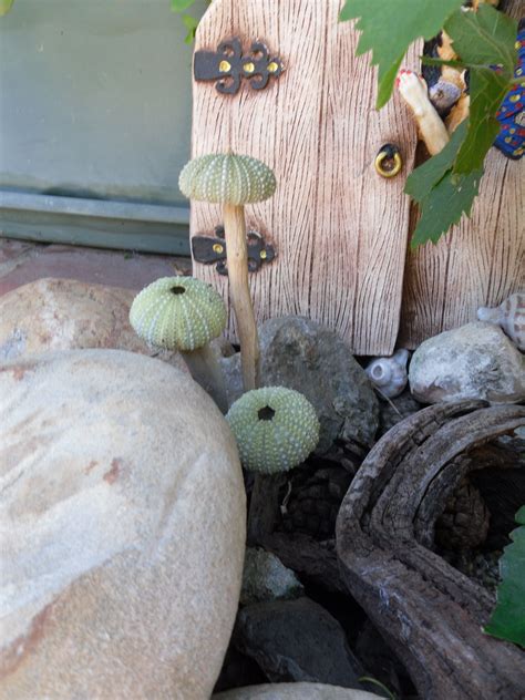 Have Just Made These Mushrooms For My Garden Sea Urchins And Sticks By