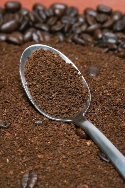 The best way to use coffee grounds for your tomato plants is to mix. A Science Project for Growing Plants With Coffee Grounds ...