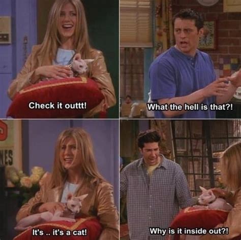 Friends TV Show Quotes & Sayings  Friends TV Show Picture Quotes