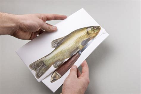 47 Creative Direct Mail Examples That Will Blow Your Mind Postary