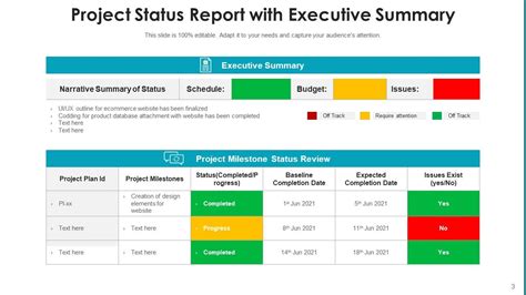 Executive Project Status Report Timeline Resources Milestones Goals