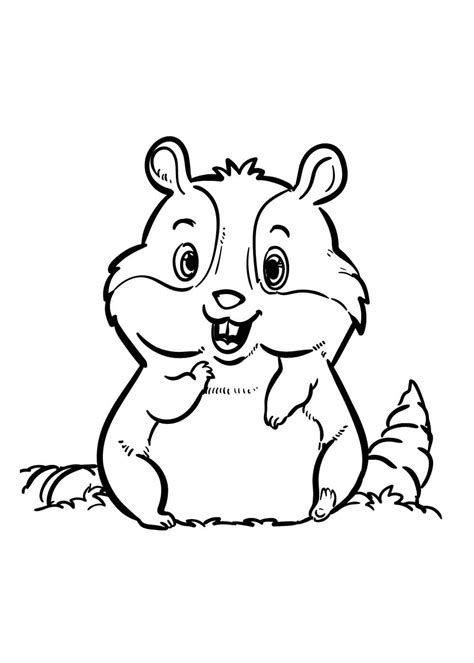Hamster De Desenho Animado Comendo Para Colorir Imprimir E Desenhar Colorir Me