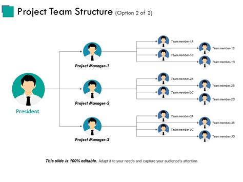 Project Team Structure Example Of Great Ppt Powerpoint