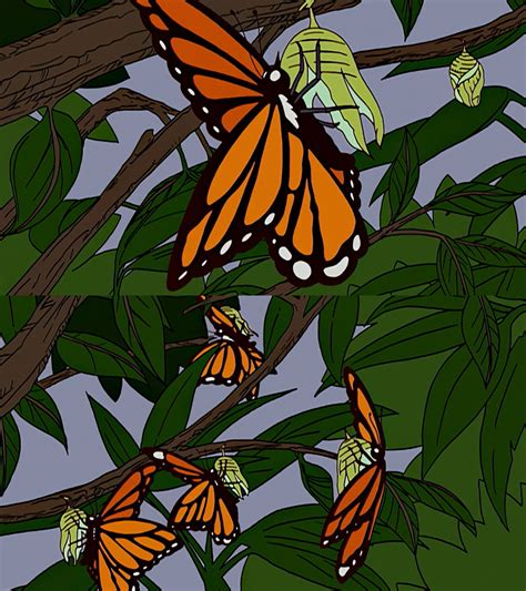 Simpsons Monarch Butterflies By Mdwyer5 On Deviantart