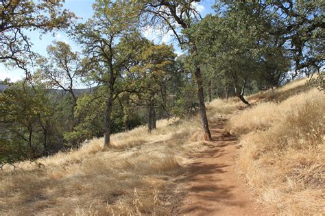 Natural Bridges Vallecito Ca ~ Ground Travel