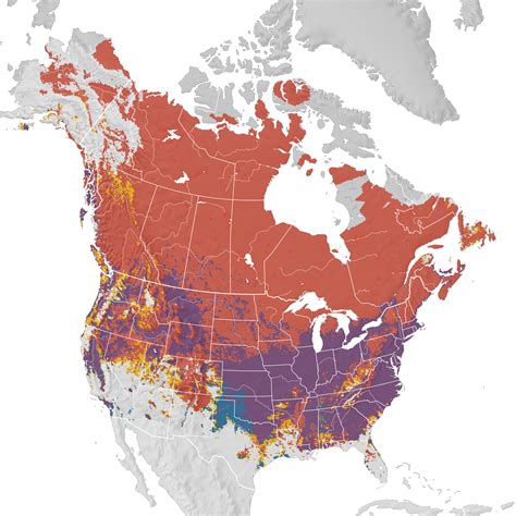 Canada Goose Migration Map Map Of Farmland Cave