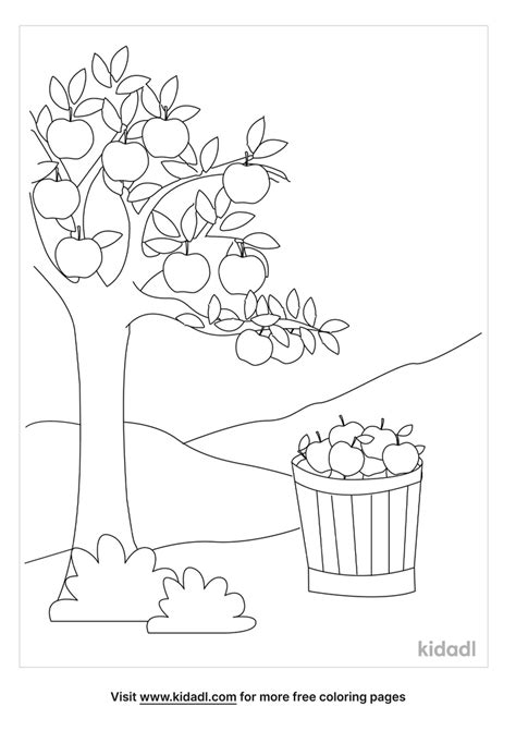 Apple Harvest Coloring Page Free Trees Coloring Page Kidadl
