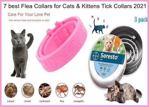 7 Best Flea Collars For Cats And Kittens Tick Collars 2023