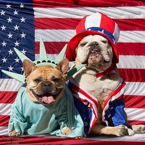 Happy 4th Of July 😄 With Images Patriotic Pets Patriotic Dog Dog