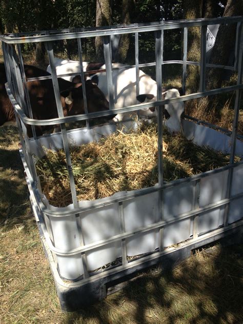 The Ultimate List Of Things You Should Know About Goats Diy Hay