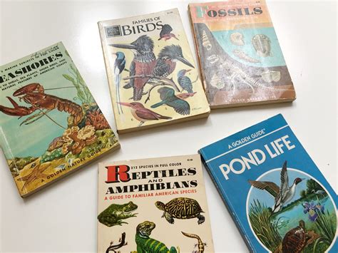 Vintage Golden Guide Book Collection
