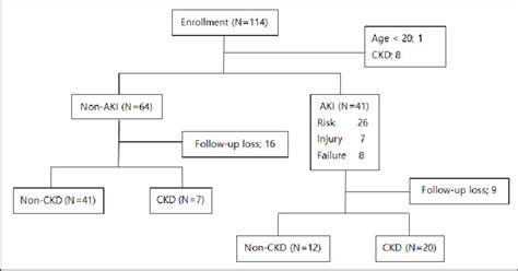 Flow Chart Of Inclusion And Exclusion Abbreviations Aki Acute Kidney