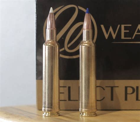 The 5 Fastest Rifle Cartridges Field And Stream