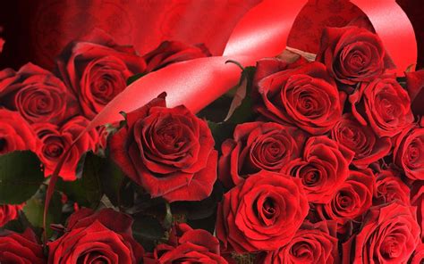Countless dozens of beautiful red roses on a flower cart, seen from above, at a flower auction the top layer of a flower cart full of roses at a flower auction in holland, photographed from above. Red Roses Wallpapers - Wallpaper Cave