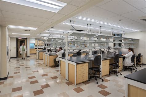 Washington University School Of Medicine Laboratory Projects Trivers