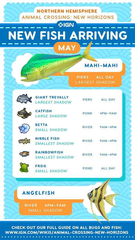 Animal Crossing New Horizons Acnh May Fish List Bugs List With