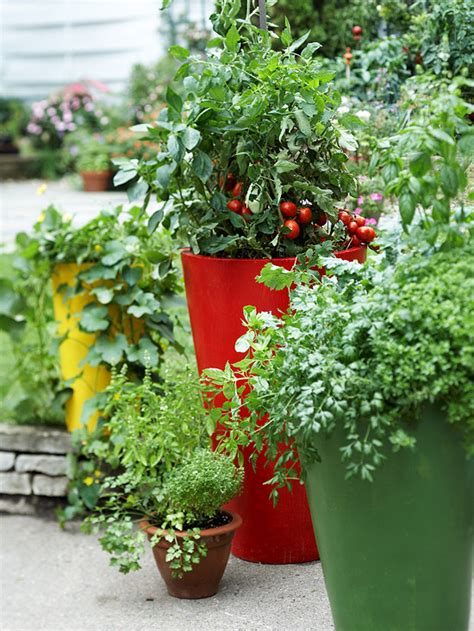 Cottage Garden Fresh Ideas For Growing Vegetables In