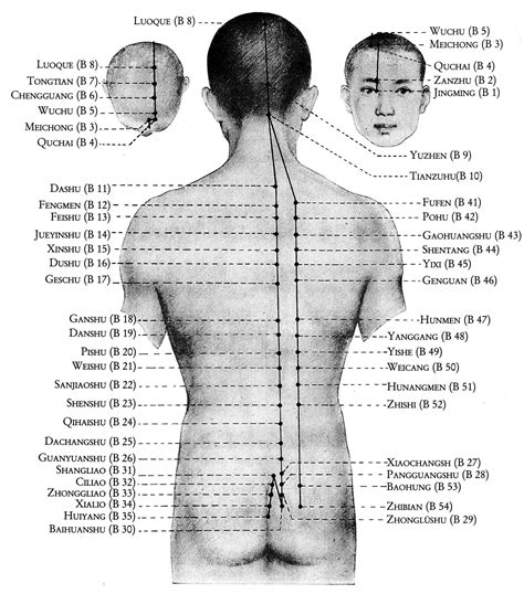 akupunkturpunkte blase - Google Search | Akupunktur, Bläschen, Punkte