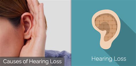 Hearing Loss Causes Stop Conductive Sensorineural And Other