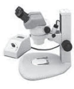 Mikroskop Sejarah Penemuan Mikroskop Dan Jenis Jenisnya