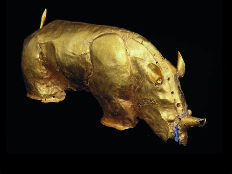 ﻿the Elusive Golden Rhino Of Mapungubwe Jardin