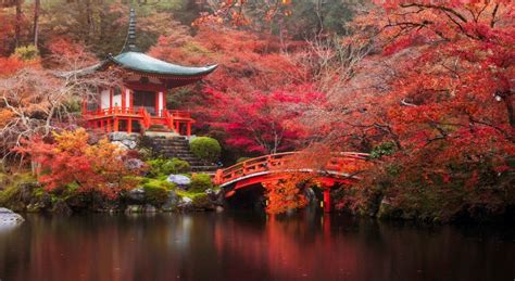 Japón En Otoño Es Uno De Los Lugares Más Bellos Del Mundo Por Los Colores De Los árboles