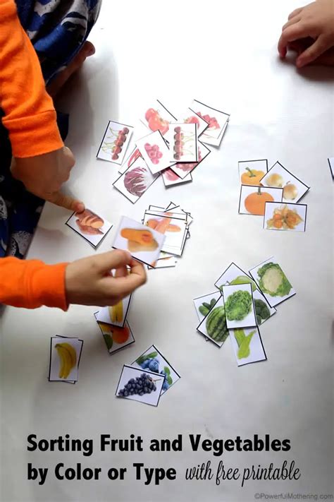 Sorting Fruit And Vegetables By Color With Free Printable