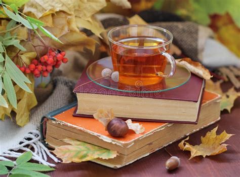 Still Life With Tea Books And Leaves In Autumn Stock Photo Image Of