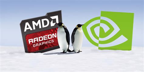 Amd Vs Nvidia Gpus On Linux Which Should You Use