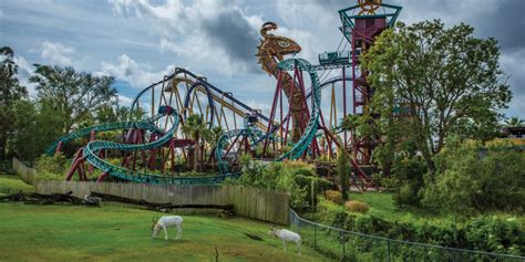 The park is owned and operated by seaworld parks & entertainment and has an annual attendance of just over 4.1 million a year. Busch Gardens Tampa Bay Turns 60 - Tampa Magazines