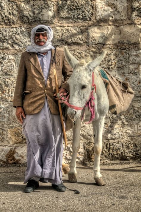 An Arab And His Donkey Israel Palestine Visit Israel Palestine
