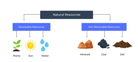 Natural Resources Definition Types And Examples