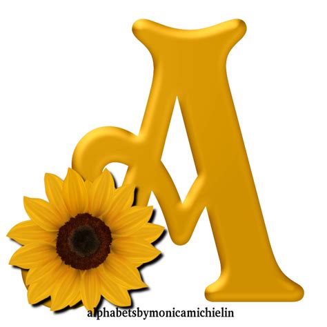 Monica Michielin Alphabets Yellow Flower Sunflower Alphabet Png