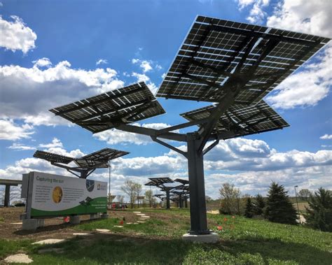 Solar Energy Trees Client Projects Photo Gallery Spotlight Solar