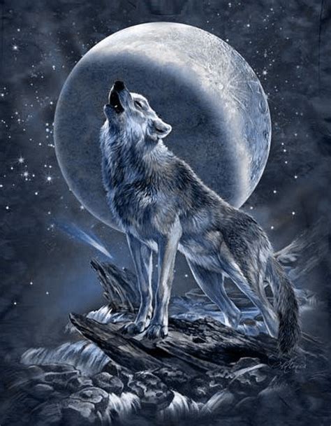 Wolf Bilder Mit Mond