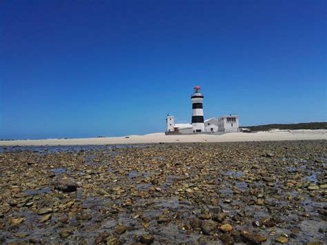 Cape Recife Nature Reserve Port Elizabeth 2021 All You Need To Know